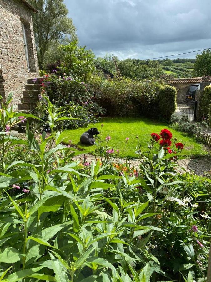 Higher Biddacott Farm Chittlehampton Bagian luar foto