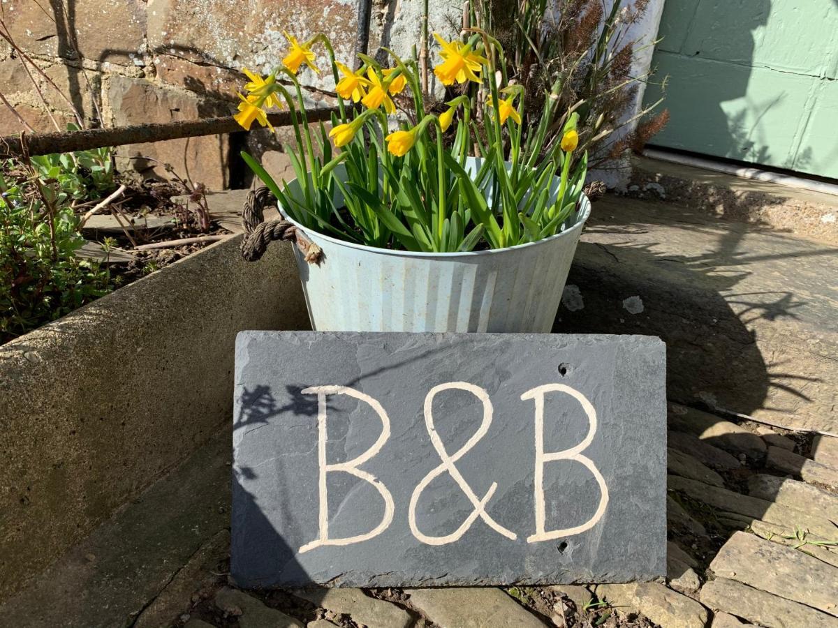 Higher Biddacott Farm Chittlehampton Bagian luar foto