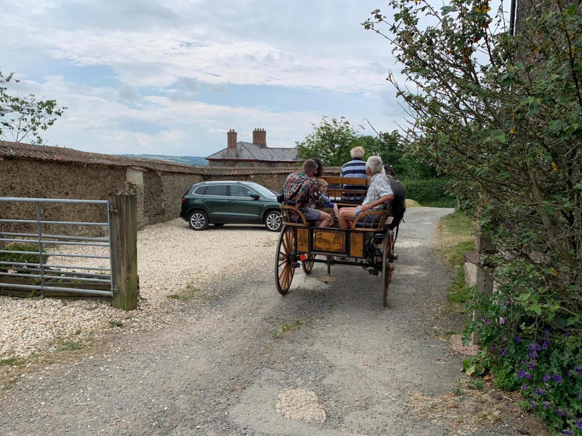 Higher Biddacott Farm Chittlehampton Bagian luar foto